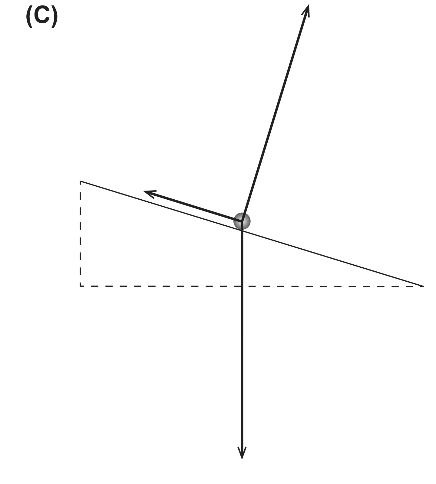 Esquema (C): peso, normal e uma força de atrito, grande, ao longo do plano no sentido ascendente