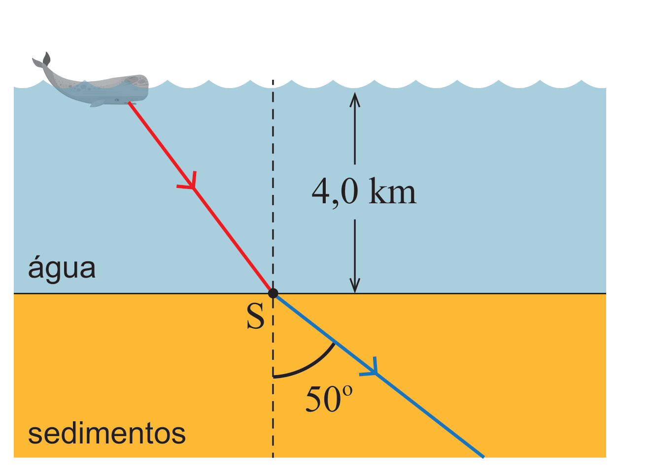 Figura 4: baleia à superfície da água emitindo um som que se propaga obliquamente até ao ponto S, na fronteira entre a água e os sedimentos, a 4,0 km de profundidade; no ponto S o som refrata-se e passa a propagar-se nos sedimentos, fazendo um ângulo de 50 graus com a normal à fronteira