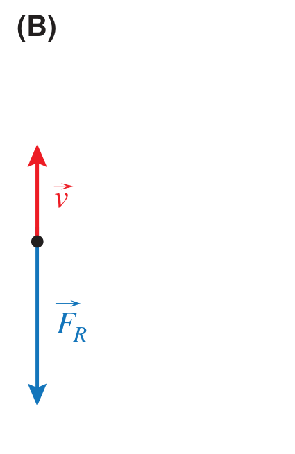 Diagrama (B): vetor v para cima, vetor FR para baixo, sentidos opostos