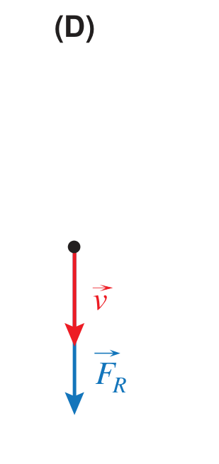 Diagrama (D): vetor v e vetor FR ambos para baixo, mesmo sentido