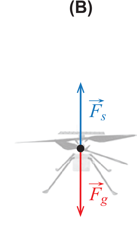 Diagrama (B): força de sustentação e força gravítica com o mesmo comprimento, sentidos opostos