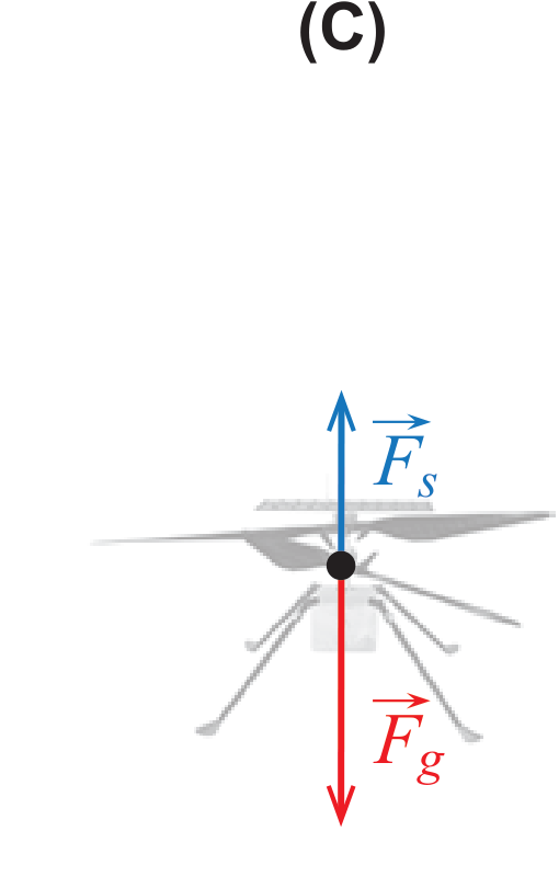 Diagrama (C): força de sustentação claramente mais curta do que a força gravítica