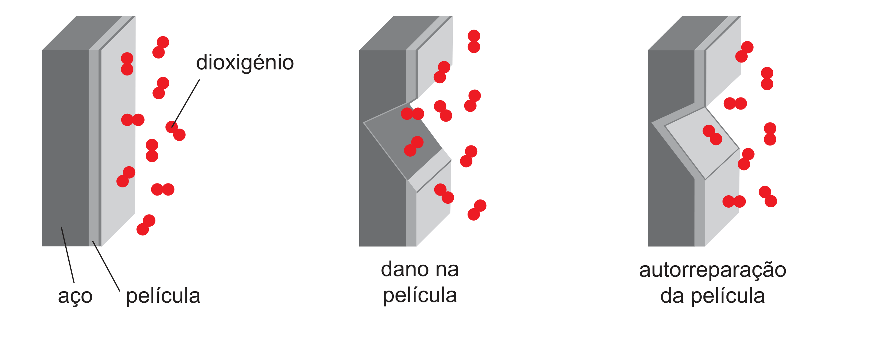 Figura 3: três esquemas do aço com a película de Cr2O3 e moléculas de dioxigénio: sem dano, com um dano na película, e com a autorreparação do dano