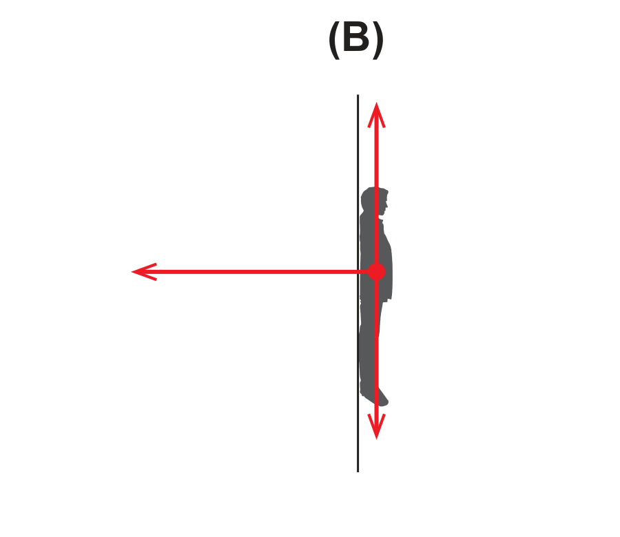 Diagrama de forças (B)
