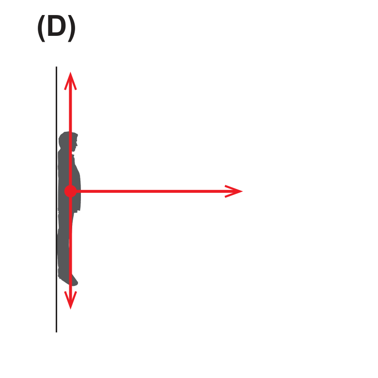 Diagrama de forças (D)
