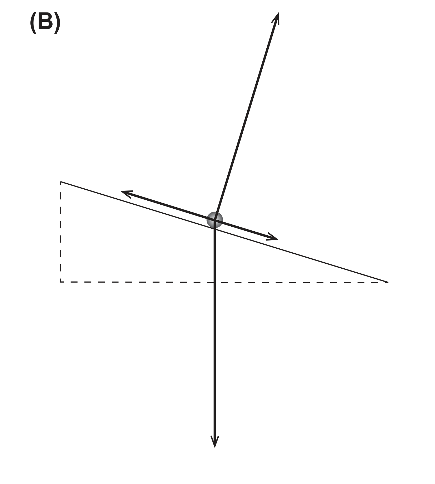 Diagrama de forças (B)
