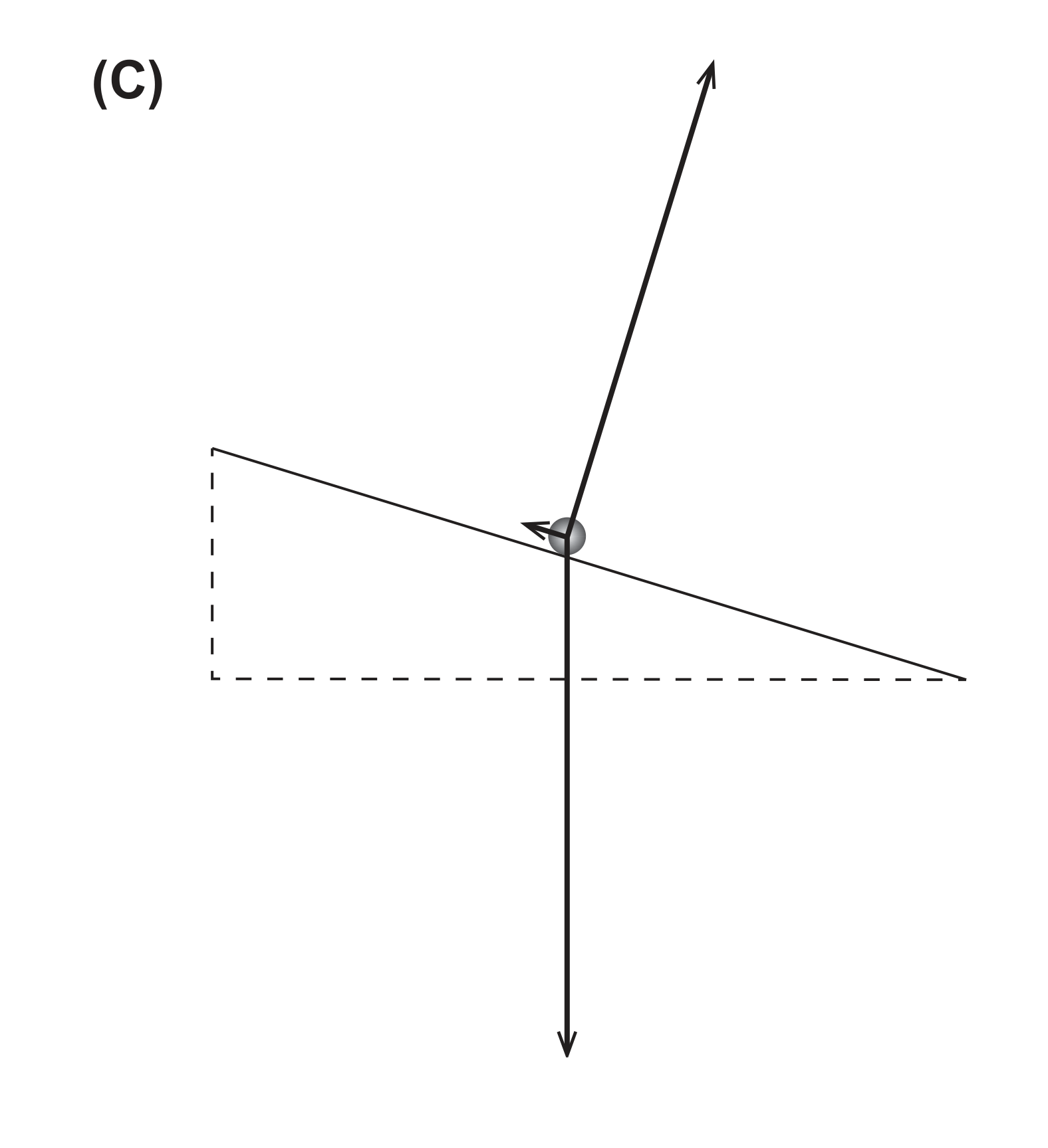Diagrama de forças (C)