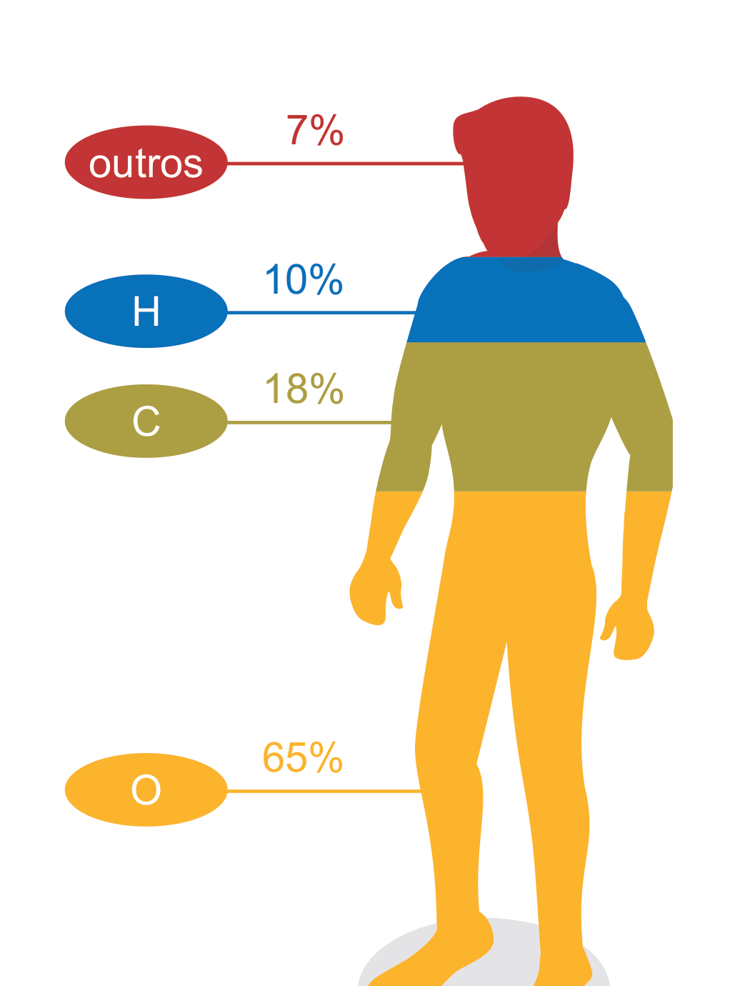Figura 2: percentagens em massa dos elementos químicos mais abundantes no corpo humano, O 65%, C 18%, H 10%, outros 7%